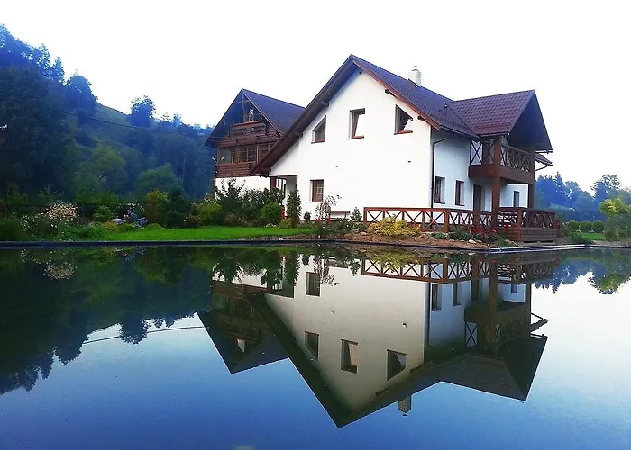 Guest house Gallery Of Mountains Holiday Yasinya