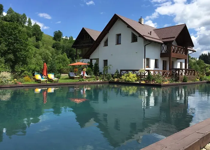 Guest house Gallery Of Mountains Holiday Yasinya