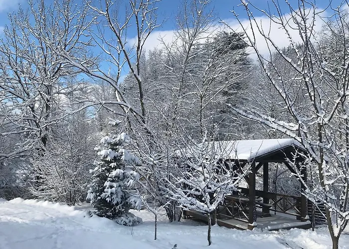 Guest house Gallery Of Mountains Holiday Yasinya