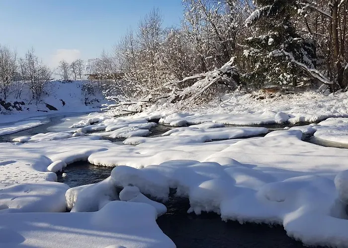 Gallery Of Mountains Holiday Yasinya