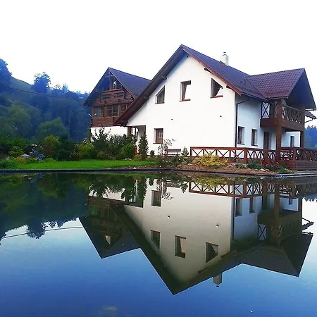 Πανσιόν Gallery Of Mountains Holiday Yasinya