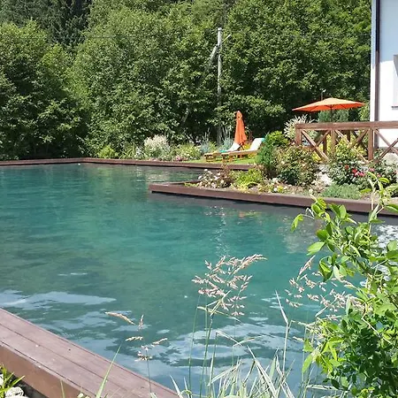 Πανσιόν Gallery Of Mountains Holiday Yasinya