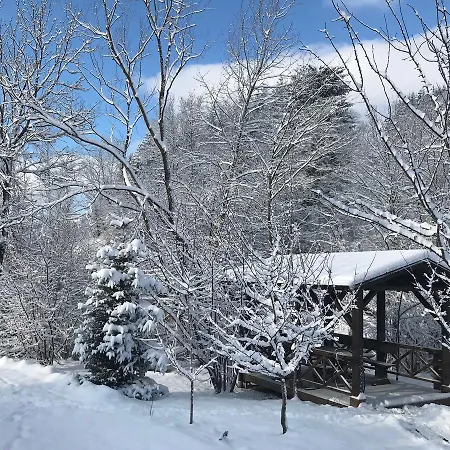 Πανσιόν Gallery Of Mountains Holiday Yasinya