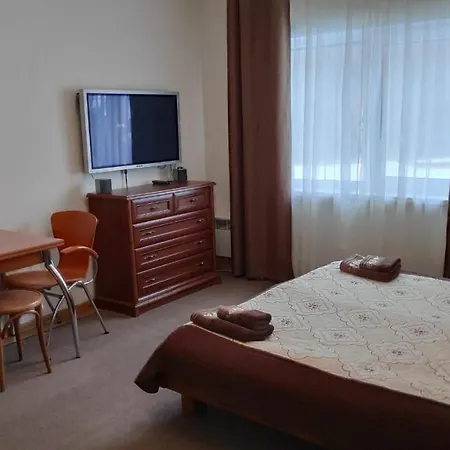 Πανσιόν Gallery Of Mountains Holiday Yasinya